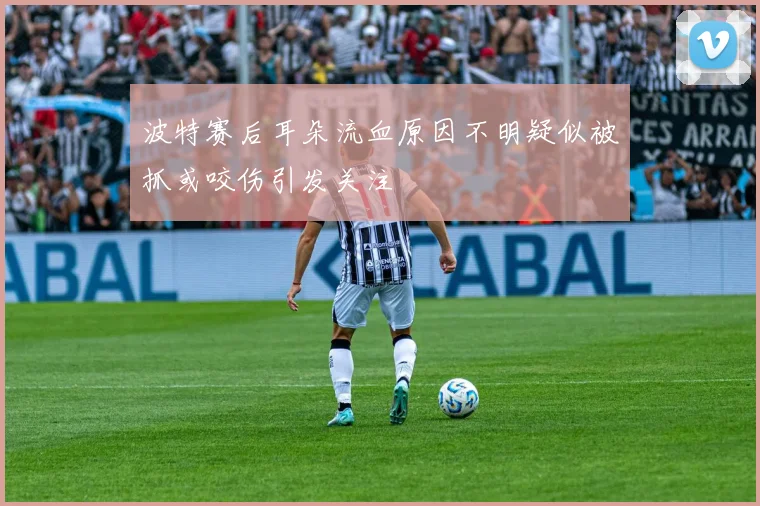 波特赛后耳朵流血原因不明疑似被抓或咬伤引发关注